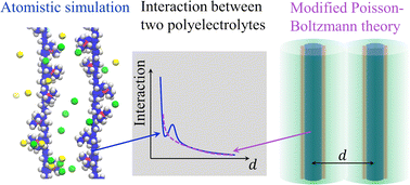 Graphical abstract: Interaction between two polyelectrolytes in monovalent aqueous salt solutions