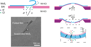 Graphical abstract: Stress induced delamination of suspended MoS2 in aqueous environments