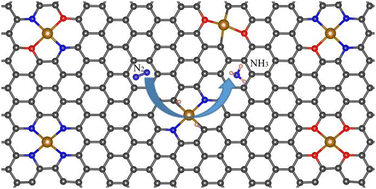 Graphical abstract: A coordination environment effect of single-atom catalysts on their nitrogen reduction reaction performance