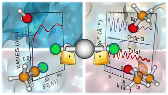 Graphical abstract: Solubilization and coordination of the HgCl2 molecule in water, methanol, acetone, and acetonitrile: an X-ray absorption investigation