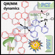 Graphical abstract: A multiscale free energy method reveals an unprecedented photoactivation of a bimetallic Os(ii)–Pt(ii) dual anticancer agent