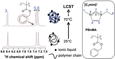 Graphical abstract: A study combining magic-angle spinning NMR and small-angle X-ray scattering on the interaction in the mixture of poly(benzyl methacrylate) and ionic liquid 1-ethyl-3-methylimidazolium bis(trifluoromethanesulfonyl)amide