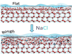 Graphical abstract: Effect of sodium chloride adsorption on the surface premelting of ice