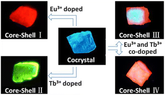 Graphical abstract: Tunable multiple light emissions of core–shell structures based on rare earth ions doped on the surfaces of organic cocrystals