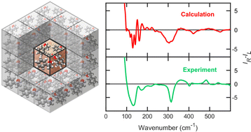 Graphical abstract: Low-frequency Raman optical activity provides insight into the structure of chiral liquids