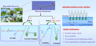 Graphical abstract: Synthesis of a branched surfactant from the castor derivative and its surface properties