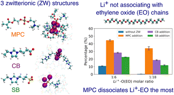 Graphical abstract: Distinct effects of zwitterionic molecules on ionic solvation in (ethylene oxide)10: a molecular dynamics simulation study