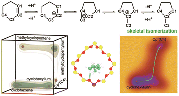 Graphical abstract: Mechanistic insights into positional and skeletal isomerization of cyclohexene in the H-BEA zeolite