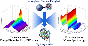 Graphical abstract: An in situ study of thermal crystallization of amorphous calcium phosphates