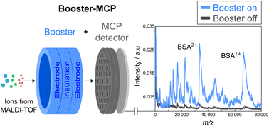 Graphical abstract: Booster-microchannel plate (BMCP) detector for signal amplification in MALDI-TOF mass spectrometry for ions beyond m/z 50 000
