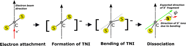 Graphical abstract: Dissociative electron attachment dynamics of carbon disulfide and violation of axial recoil approximation near 6 eV resonance