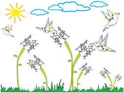 Graphical abstract: Why trans and not cis? – Molecular dynamics and DFT study on selective separation of dihaloethene isomers using perethylated pillar[5]arene