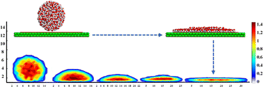 Graphical abstract: Controlled hydrophilization of black phosphorene: a reactive molecular dynamics simulation approach