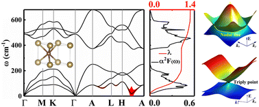 Graphical abstract: Superconductivity and topological states in hexagonal TaC and NbC