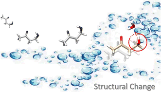 Graphical abstract: Aqueous microsolvation of 4-hydroxy-2-butanone: competition between intra- and inter-molecular hydrogen bonds