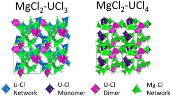 Graphical abstract: First-principles molecular dynamics simulations of UCln–MgCl2 (n = 3, 4) molten salts