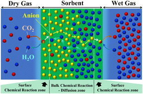 Graphical abstract: Kinetic model for moisture-controlled CO2 sorption