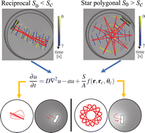 Graphical abstract: Complexity and bifurcations in the motion of a self-propelled rectangle confined in a circular water chamber