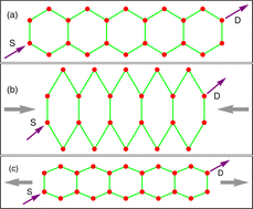 Graphical abstract: Strain-induced thermoelectricity in pentacene