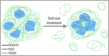 Graphical abstract: Why does solvent treatment increase the conductivity of PEDOT : PSS? Insight from molecular dynamics simulations
