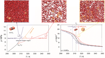 Graphical abstract: Thermodynamics of supercritical carbon dioxide mixtures across the Widom line