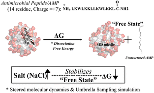 Graphical abstract: Effect of a monovalent salt on the energetics of an antimicrobial-peptide: micelle dissociation