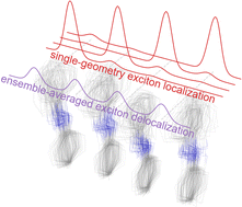 Graphical abstract: Effect of conformational disorder on exciton states of an azobenzene aggregate