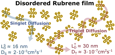 Graphical abstract: Triplet and singlet exciton diffusion in disordered rubrene films: implications for photon upconversion