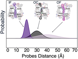 Graphical abstract: Reconciling membrane protein simulations with experimental DEER spectroscopy data