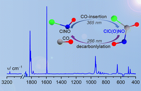 Graphical abstract: Photolytic insertion of carbon monoxide into nitrosyl chloride: formation of nitrosoformyl chloride