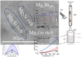 Graphical abstract: Phase separation in bismuth doped Mg2Si0.5Ge0.5 thermoelectric alloy