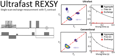 Graphical abstract: Ultrafast transverse relaxation exchange NMR spectroscopy