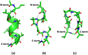 Graphical abstract: Effects of solvents on the conformational profile of Balaram's peptide: a computational study