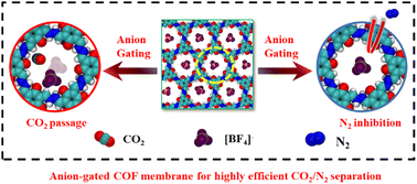 Graphical abstract: Molecular insight into CO2/N2 separation using a 2D-COF supported ionic liquid membrane