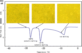 Graphical abstract: Formation of NaCl eutectics in water-in-oil emulsion