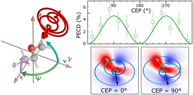 Graphical abstract: Carrier envelope phase sensitivity of photoelectron circular dichroism