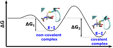 Graphical abstract: Estimating the binding energetics of reversible covalent inhibitors of the SARS-CoV-2 main protease: an in silico study