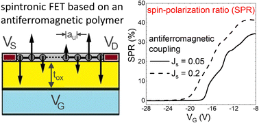 Graphical abstract: Formation of spin-polarized current in antiferromagnetic polymer spintronic field-effect transistors