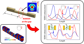 Graphical abstract: Effect of the excitation setup in the improved enhancement factor of covered-gold-nanorod-dimer antennas