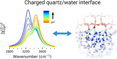 Graphical abstract: A molecular dynamics study of the nonlinear spectra and structure of charged (101) quartz/water interfaces
