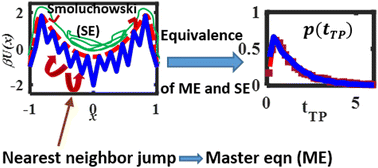 Graphical abstract: Microscopic origin of diffusive dynamics in the context of transition path time distributions for protein folding and unfolding