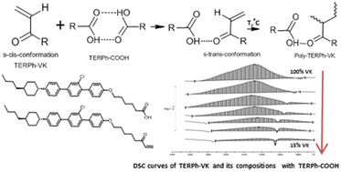 Graphical abstract: The role of terphenyl-containing carboxylic acid in the oligomerization of aryl vinyl ketone