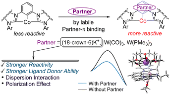 Graphical abstract: Partner effect in accelerating pincer-co catalyzed nitrile hydroboration reactions