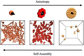 Graphical abstract: The influence of anisotropy on the microstructure and magnetic properties of dipolar nanoplatelet suspensions