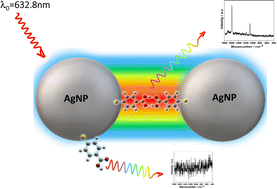 Graphical abstract: Surface-enhanced Raman spectroscopy of one and a few molecules of acid 4-mercaptobenzoic in AgNP enabled by hot spots generated by hydrogen bonding