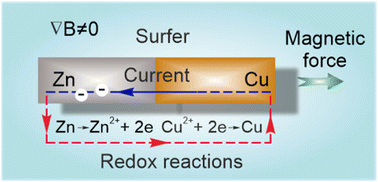 Graphical abstract: Motion of a chemically reactive bimetal motor in a magnetic field