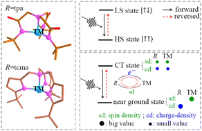 Graphical abstract: A theoretical study of laser-induced ultrafast spin dynamics in trigonal monopyramidal iron and nickel complexes