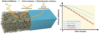 Graphical abstract: A prediction model for nanoparticle diffusion behavior in fibrous materials considering steric and hydrodynamic resistances