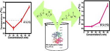 Graphical abstract: Fortification of thermal and structural stability of hemoglobin using choline chloride-based deep eutectic solvents