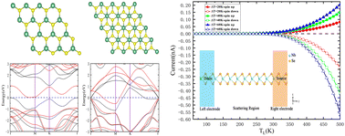 Graphical abstract: Structural, electronic phase transitions and thermal spin transport properties in 2D NbSe2 and NbS2: a first-principles study